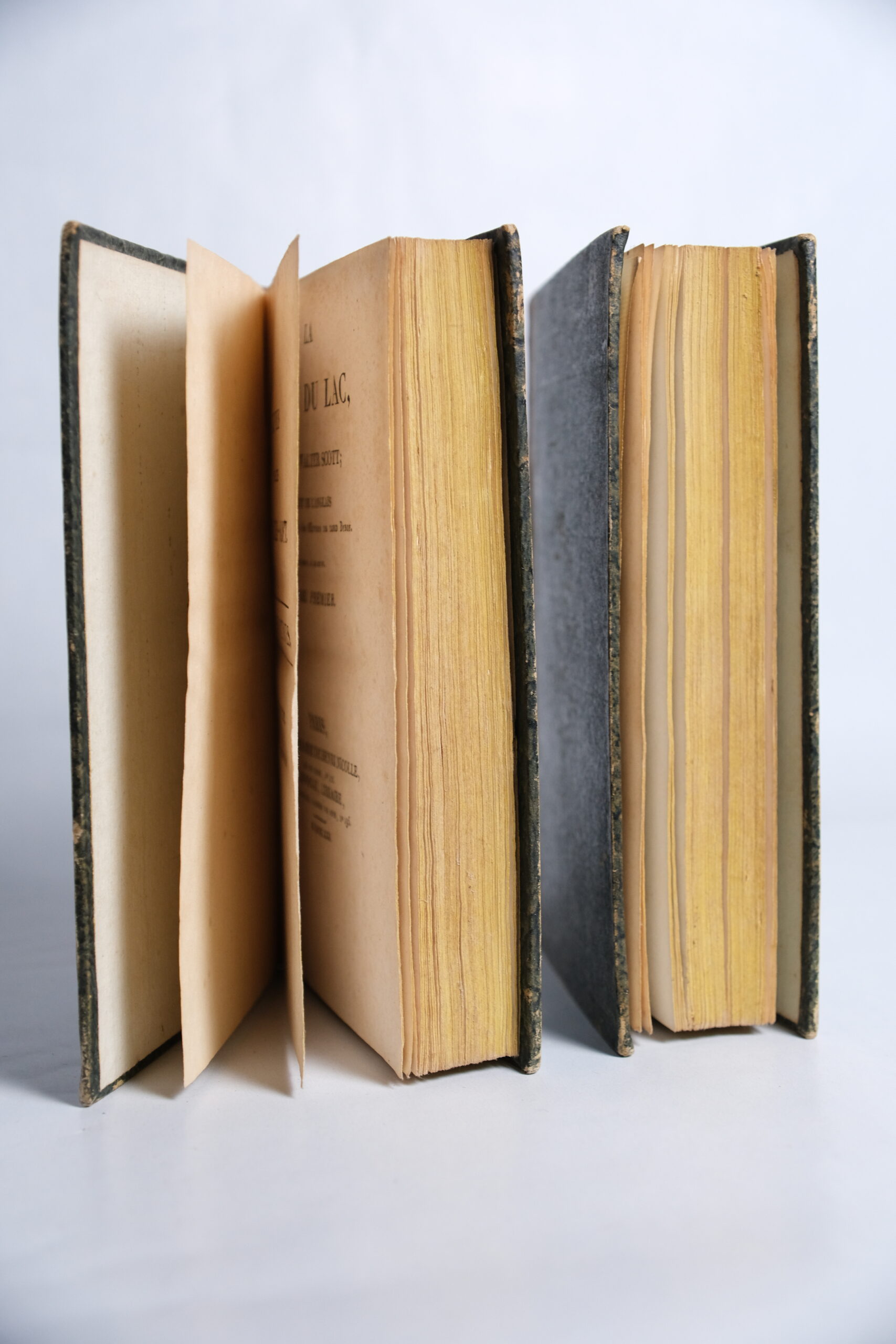 SCOTT Walter, La Dame du Lac (2 vol.). Paris, Librairie Henri Nicolle, 1821. – Image 5