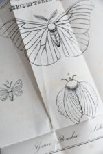 Sciences et Techniques