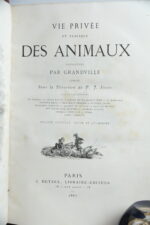 GRANDVILLE, Vie Privée et Publique des animaux. Paris, J. Hetzel, 1867. 